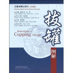 拔罐图解 pdf epub mobi 下载