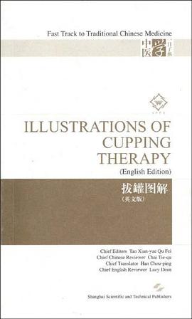 拔罐图解 pdf epub mobi 电子书 下载