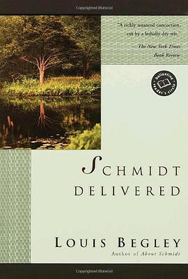 Schmidt Delivered pdf epub mobi 电子书 下载