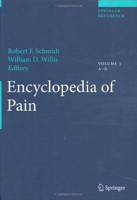 Encyclopedia of Pain pdf epub mobi 电子书 下载