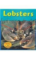 Lobsters pdf epub mobi 电子书 下载
