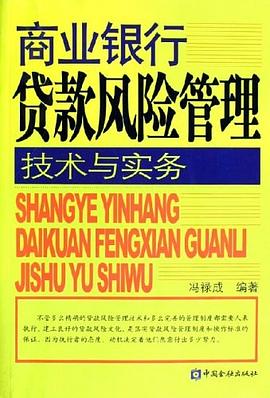 商业银行贷款风险管理技术与实务 pdf epub mobi 电子书 下载