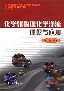 化学驱物理化学渗流理论与应用 pdf epub mobi 下载
