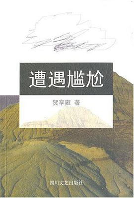 遭遇尴尬 pdf epub mobi 电子书 下载