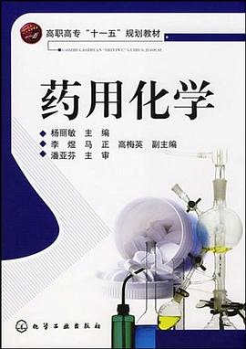 药用化学 pdf epub mobi 电子书 下载