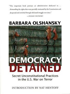 Democracy Detained pdf epub mobi 电子书 下载