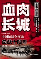血战十四年