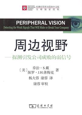 周边视野 pdf epub mobi 电子书 下载