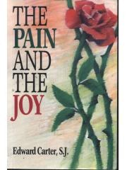 The Pain and the Joy pdf epub mobi 电子书 下载