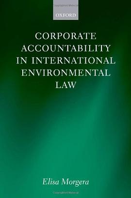 Corporate Accountability in International Environmental Law pdf epub mobi 电子书 下载