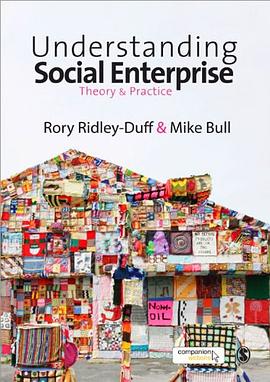 Understanding Social Enterprise pdf epub mobi 電子書 下載