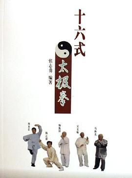 十六式太极拳 pdf epub mobi 电子书 下载
