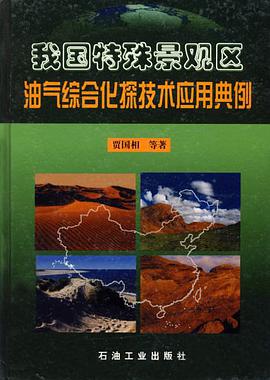 我国特殊景观区油气综合化探技术应用典例 pdf epub mobi 电子书 下载
