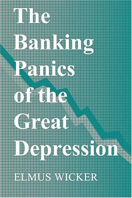 The Banking Panics of the Great Depression pdf epub mobi 电子书 下载