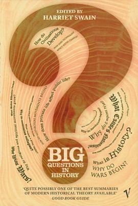 The Big Questions in History pdf epub mobi 电子书 下载