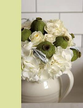 Jane Packer London Lined, Green-tinted pages Journal pdf epub mobi 电子书 下载