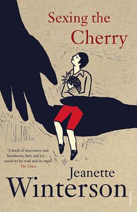 Sexing the Cherry pdf epub mobi 电子书 下载