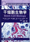 干细胞生物学 pdf epub mobi 电子书 下载