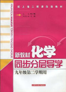 新教材化学同步分层导学 pdf epub mobi 电子书 下载