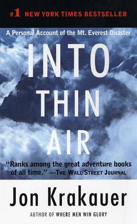 Into Thin Air pdf epub mobi 下载