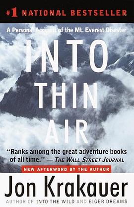 Into Thin Air pdf epub mobi 電子書 下載
