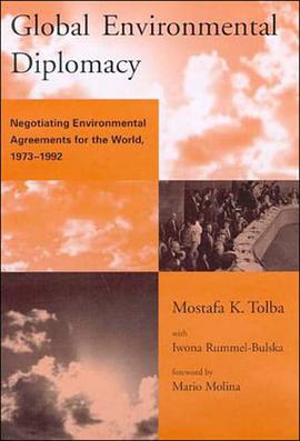 Global Environmental Diplomacy pdf epub mobi 电子书 下载