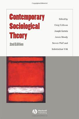 Contemporary Sociological Theory