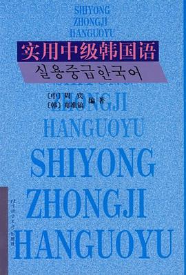 实用中级韩国语 pdf epub mobi 电子书 下载