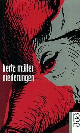 Niederungen pdf epub mobi 電子書 下載