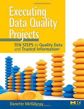 Executing Data Quality Projects pdf epub mobi 电子书 下载