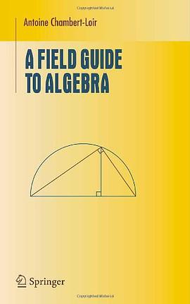 A Field Guide to Algebra