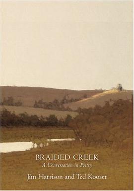 Braided Creek