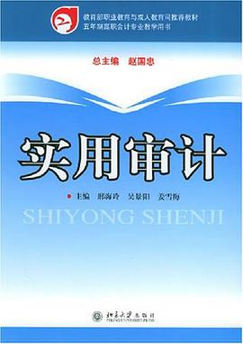 實用審計 pdf epub mobi 電子書 下載