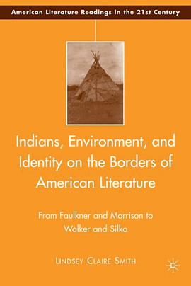 Indians, Environment, and Identity on the Borders of American Literature pdf epub mobi 下载