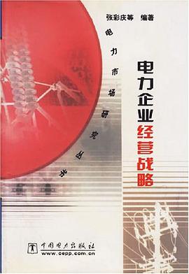 电力企业经营战略 pdf epub mobi 电子书 下载