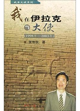 我在伊拉克当大使 pdf epub mobi 电子书 下载