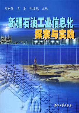 新疆石油工业信息化探索与实践 pdf epub mobi 电子书 下载