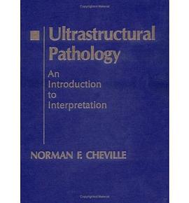 Ultrastructural Pathology pdf epub mobi 电子书 下载