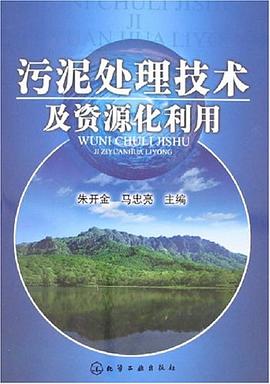 污泥处理技术及资源化利用 pdf epub mobi 电子书 下载