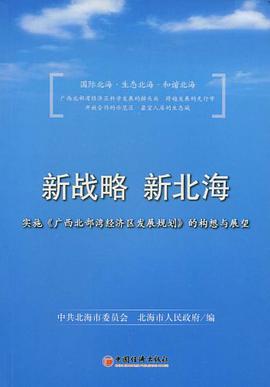 新战略新北海 pdf epub mobi 电子书 下载