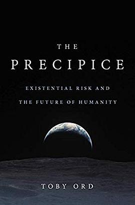 The Precipice pdf epub mobi 电子书 下载