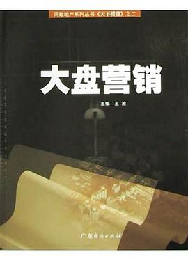 大盘营销 pdf epub mobi 电子书 下载