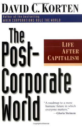 The Post-corporate World pdf epub mobi 电子书 下载