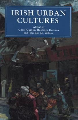 Irish Urban Cultures pdf epub mobi 电子书 下载