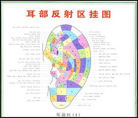 耳部反射区挂图 pdf epub mobi 电子书 下载