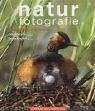 Naturfotografie. pdf epub mobi 下载
