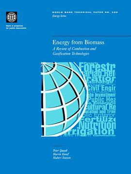 Energy from Biomass pdf epub mobi 电子书 下载