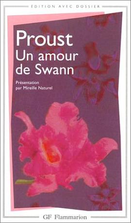 Un amour de Swann pdf epub mobi 電子書 下載