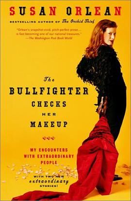 The Bullfighter Checks Her Makeup pdf epub mobi 电子书 下载