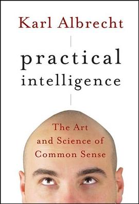 Practical Intelligence pdf epub mobi 电子书 下载